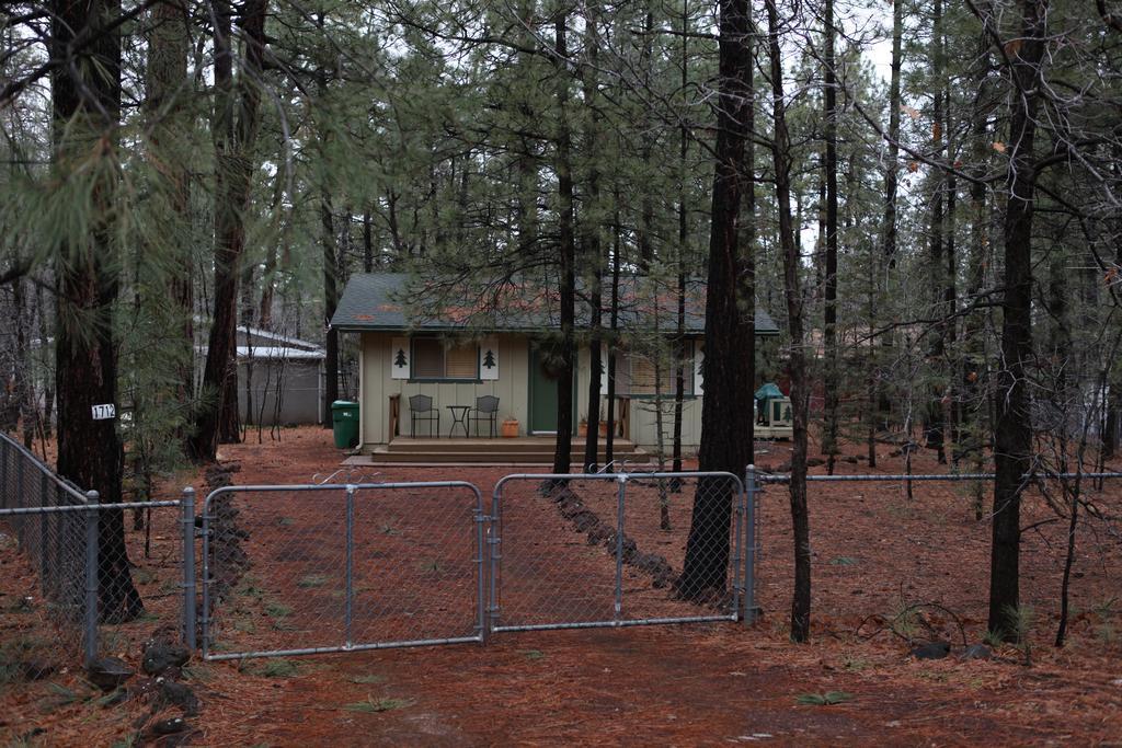 Adair Springs Cabin 파인톱-호변 외부 사진